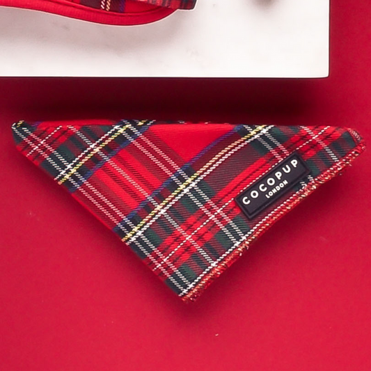 Tartan Bandana (Scarf)
