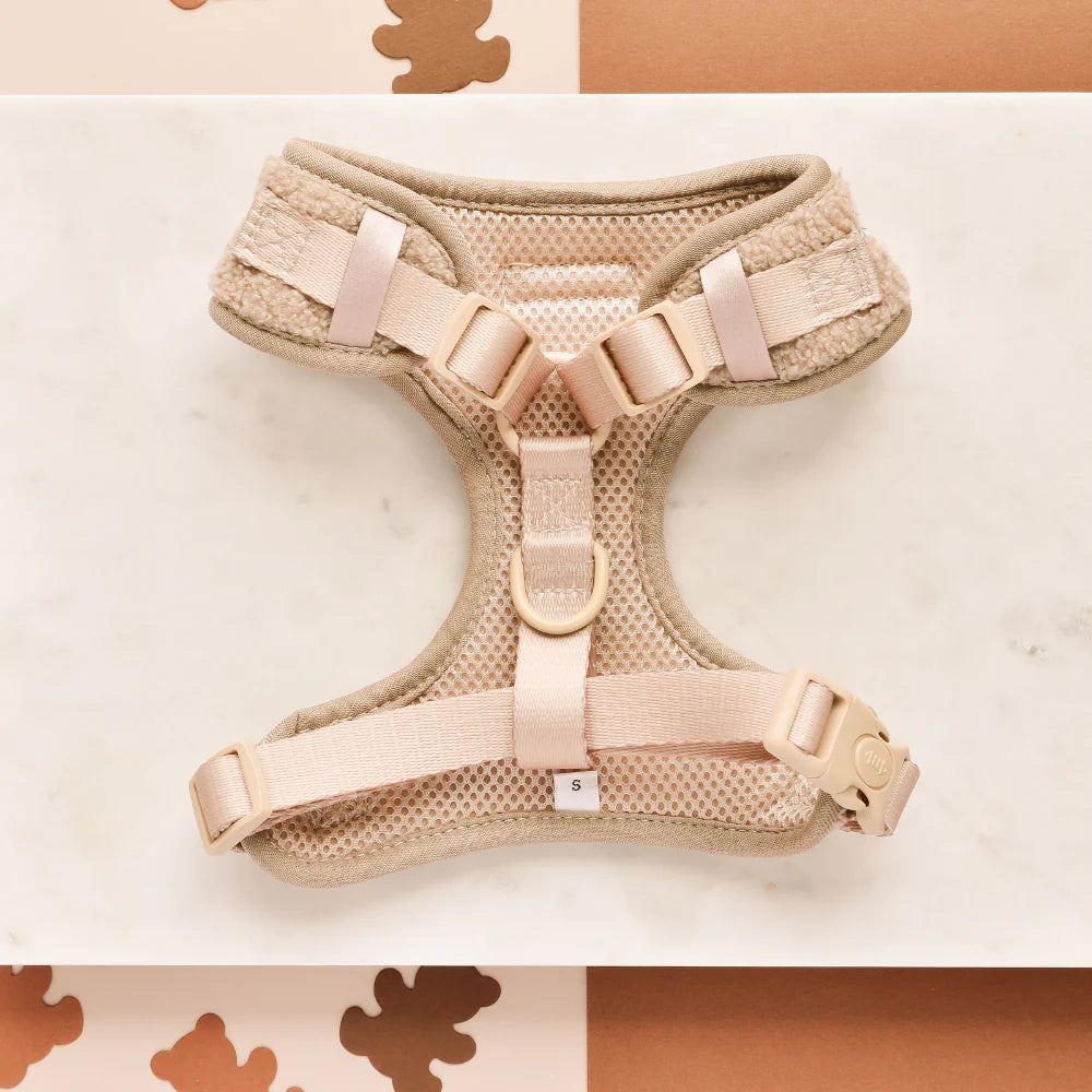 Teddy - Adjustable Dog Harness