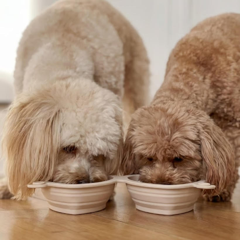 Heart Dog Bowl - Portable & Collapsible (Cream)
