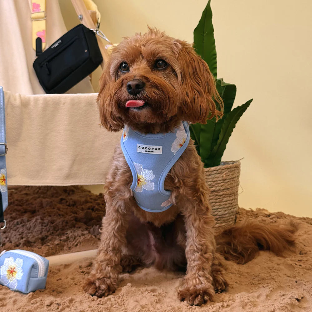 Blue Lagoon Harness
