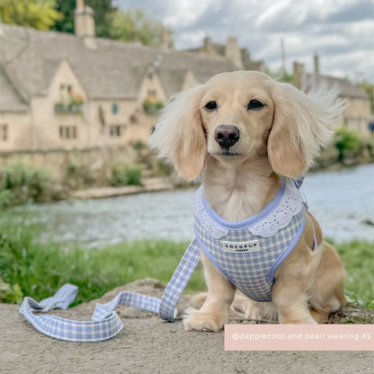 English Blue Harness