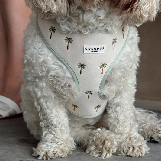 Palm Springs Harness