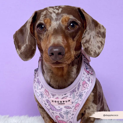 Princess Dino Harness