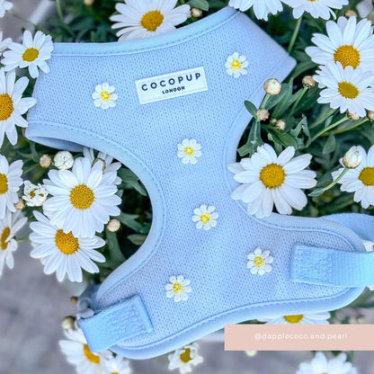 Blue Daisy Dream Harness