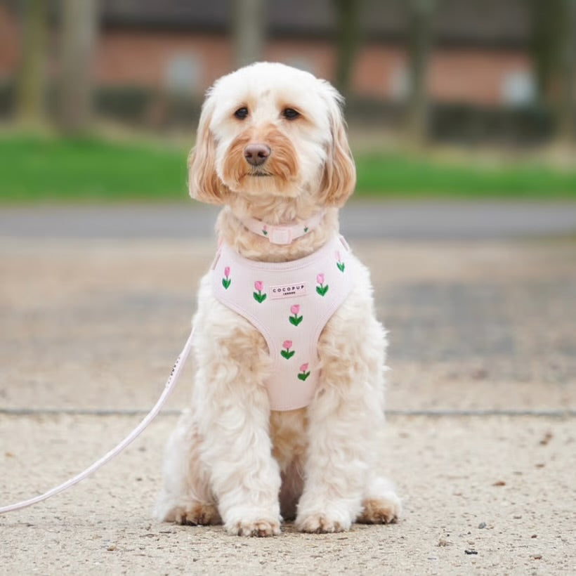Tulip Tails Collar