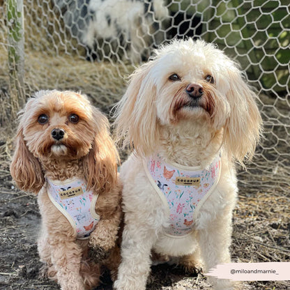 Farmyard Harness