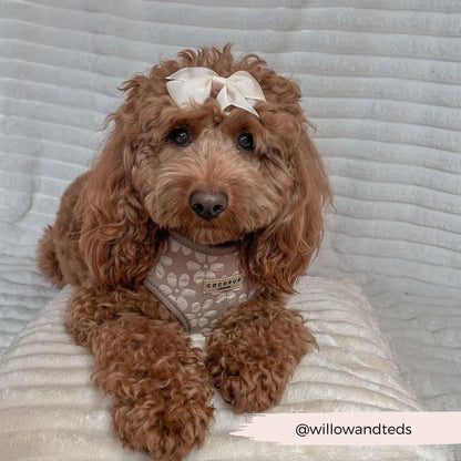 Mocha Flower Harness