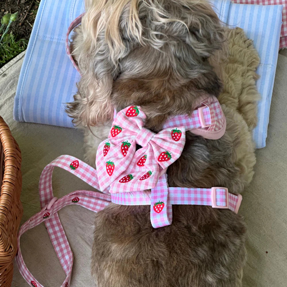 Strawberry Picnic Sailor Bow Tie