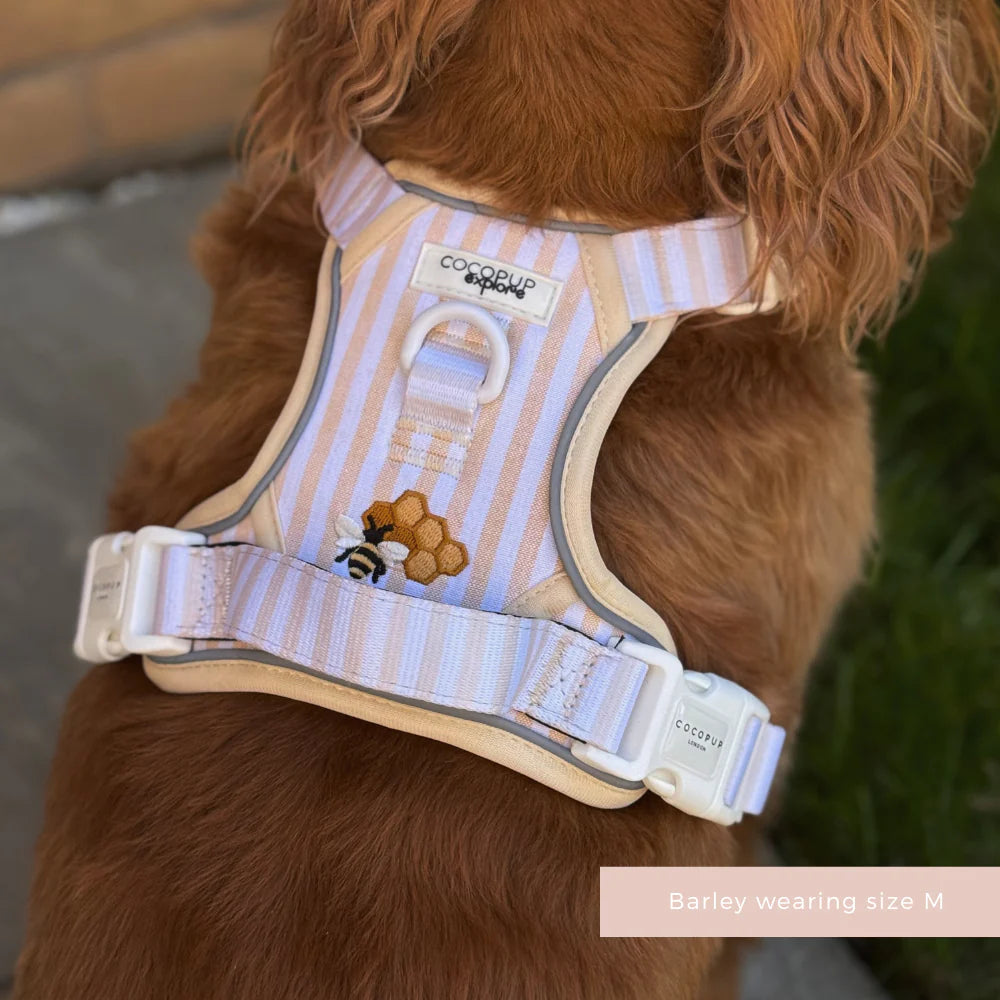 Honey Meadow Explore Harness - XL