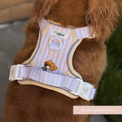 Honey Meadow Explore Harness - XL