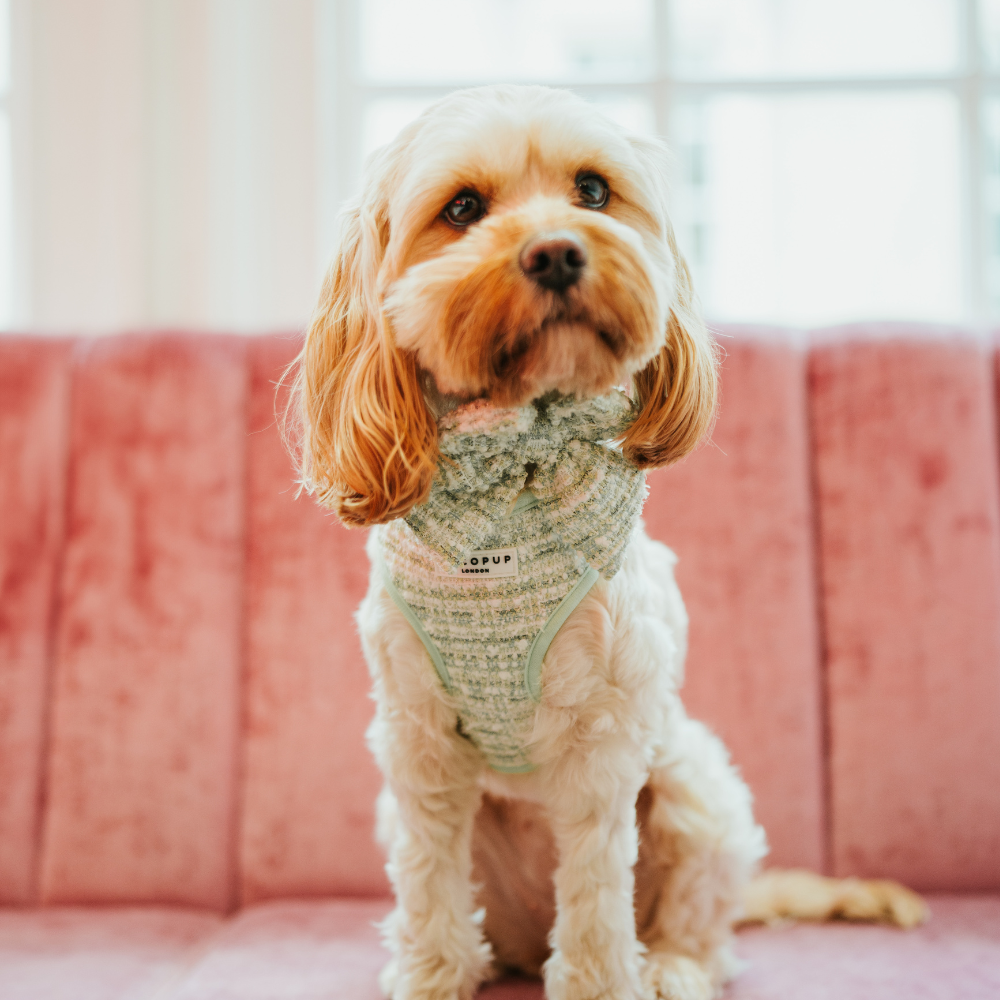 Matcha Tweed Sailor Bow Tie - Bridgerton