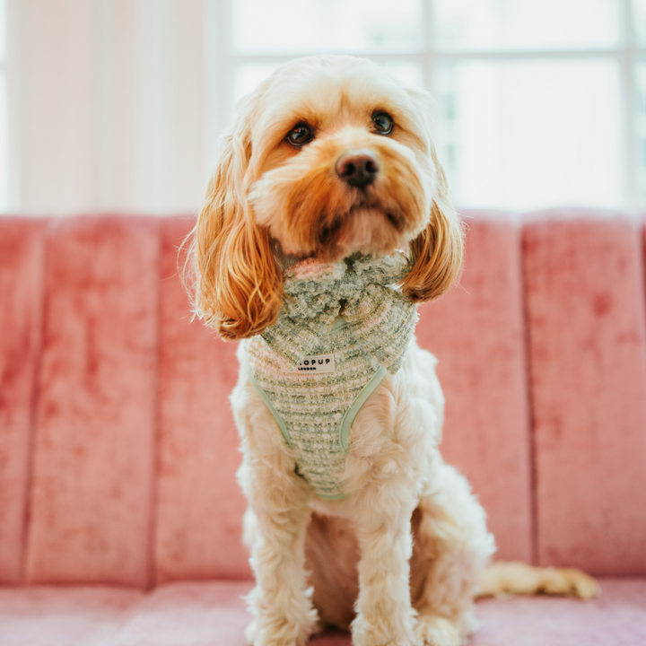 Matcha Tweed Sailor Bow Tie - Bridgerton