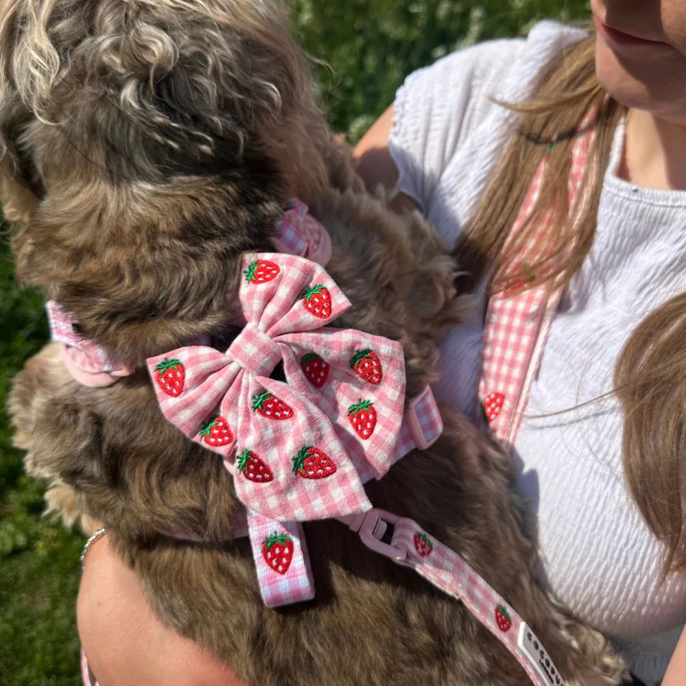 Strawberry Picnic Sailor Bow Tie