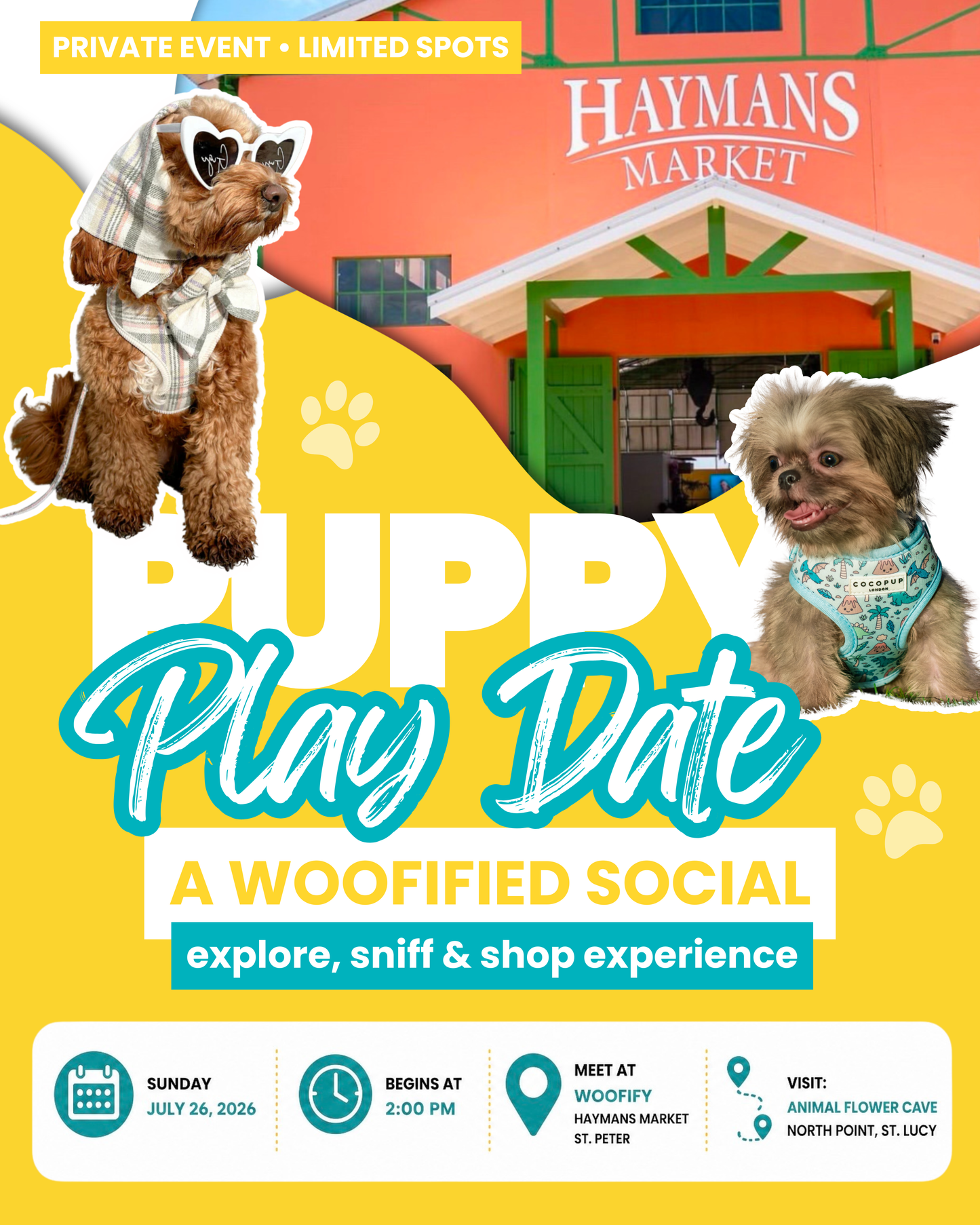 Puppy Play Date: “Exploring North” Ticket