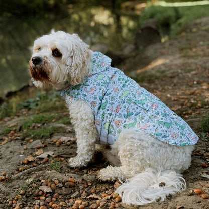 Dino-Paw Dog Raincoat