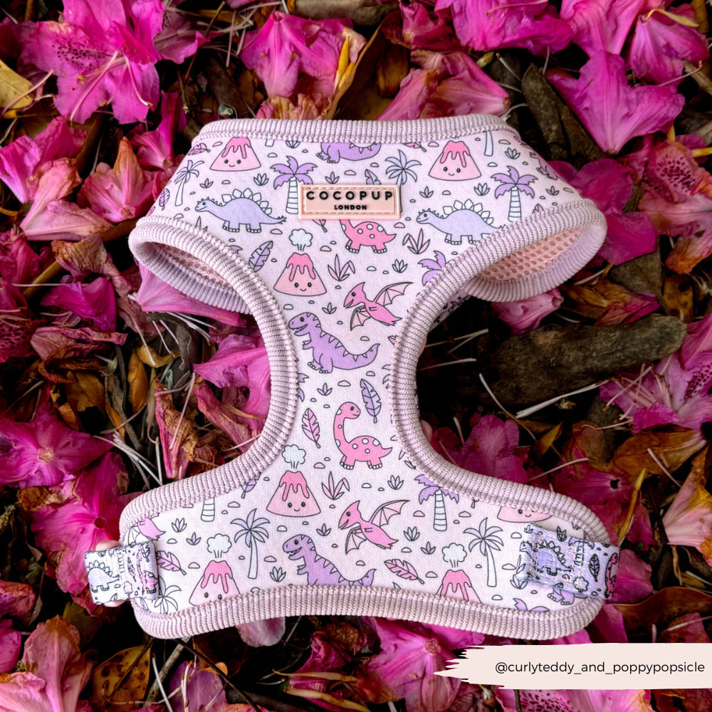 Princess Dino Harness