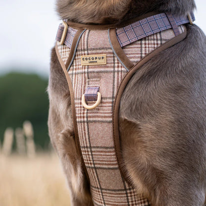 Pup Plaid Explore Harness - XL