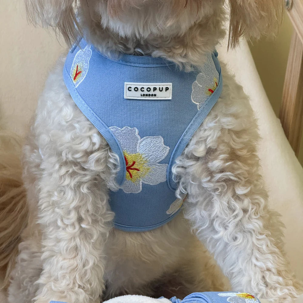 Blue Lagoon Harness