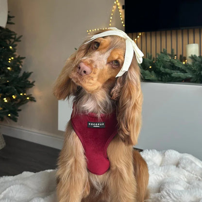Luxe Red Velvet Harness