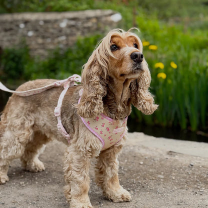 English Rose Harness