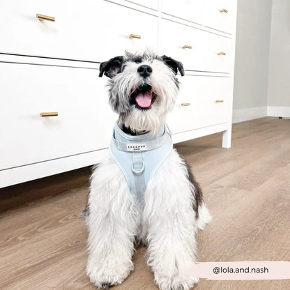 Bubblegum Harness - Surf’s Up! 🏖️