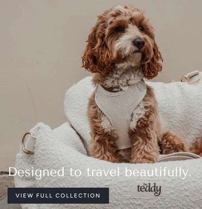 Bouclé Luxury Dog Car Seat (Pre-Launch | Payment Plan Available)