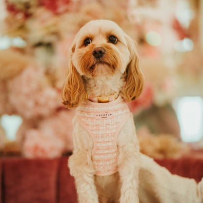 Pink Tweed Collar - Bridgerton