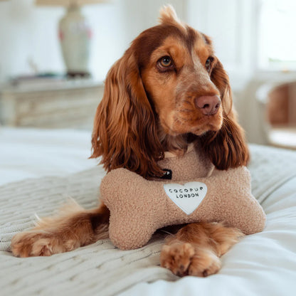 Teddy Bone Dog Toy