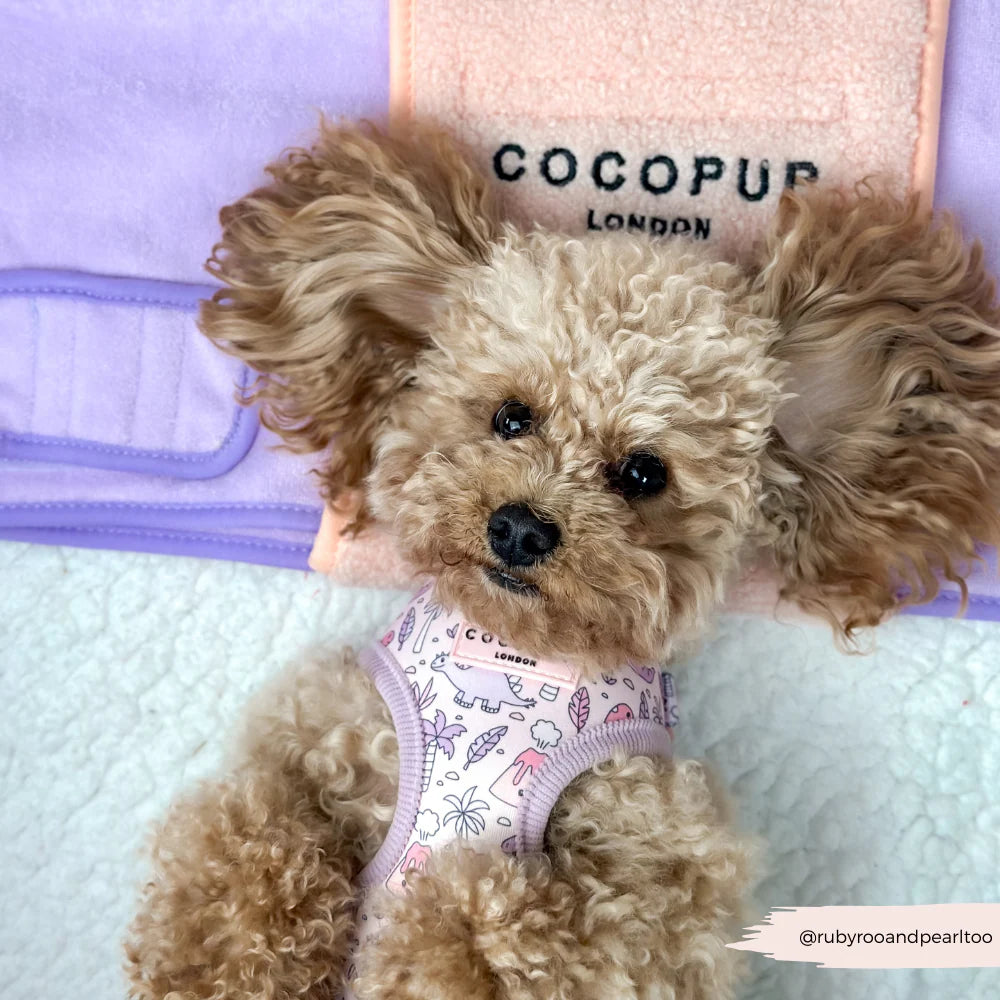 Princess Dino Harness