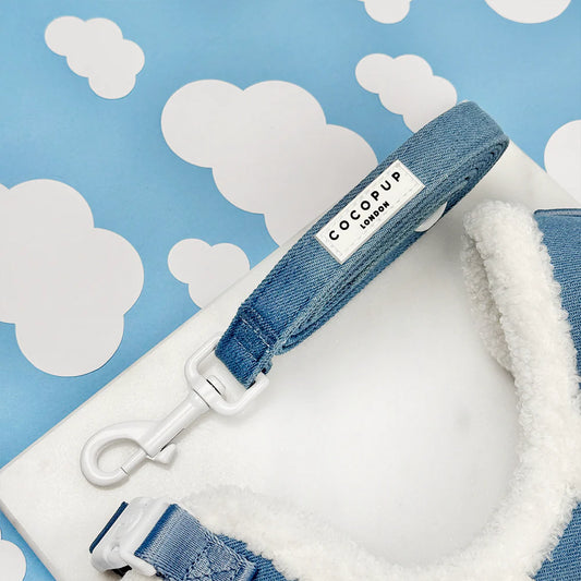 Cloud Nine Leash
