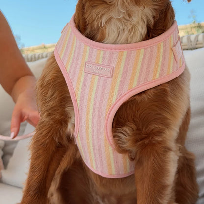 Pastel Stripes Cabana Harness