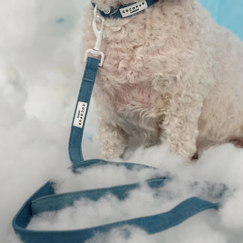 Cloud Nine Leash