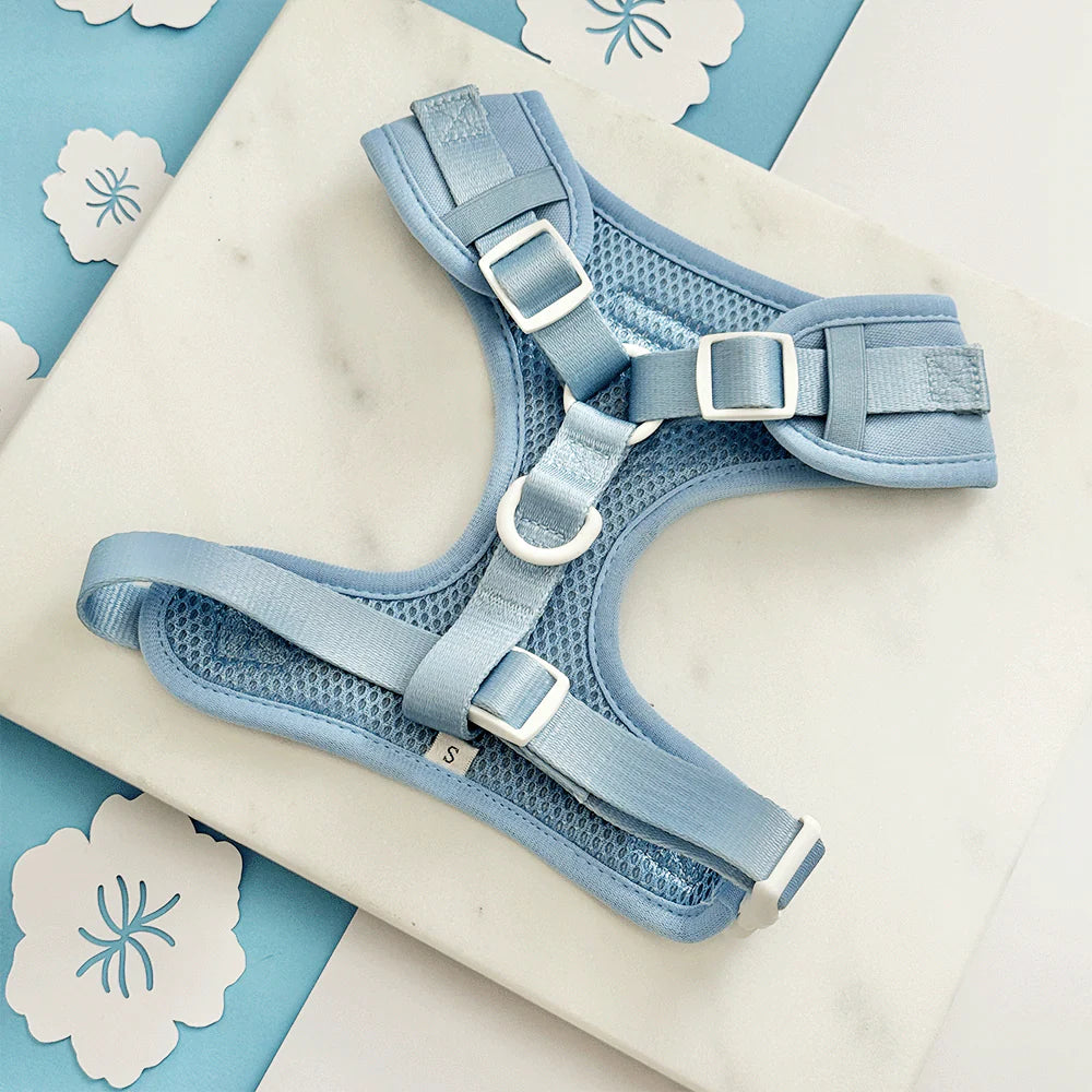 Blue Lagoon Harness