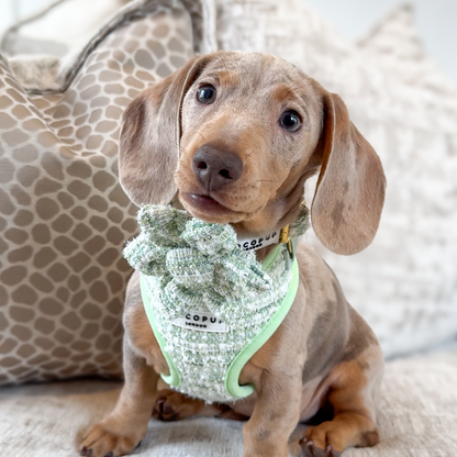 Matcha Tweed Harness - Bridgerton