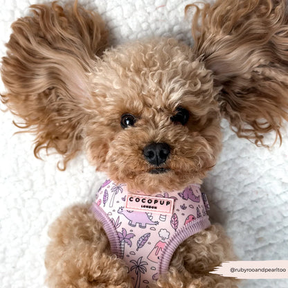 Princess Dino Harness