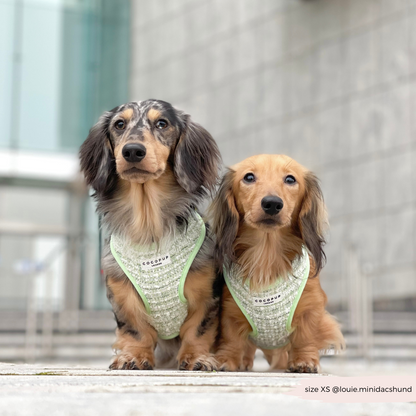 Matcha Tweed Harness - Bridgerton