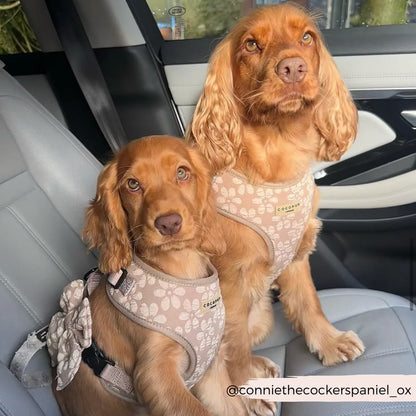 Mocha Flower Harness