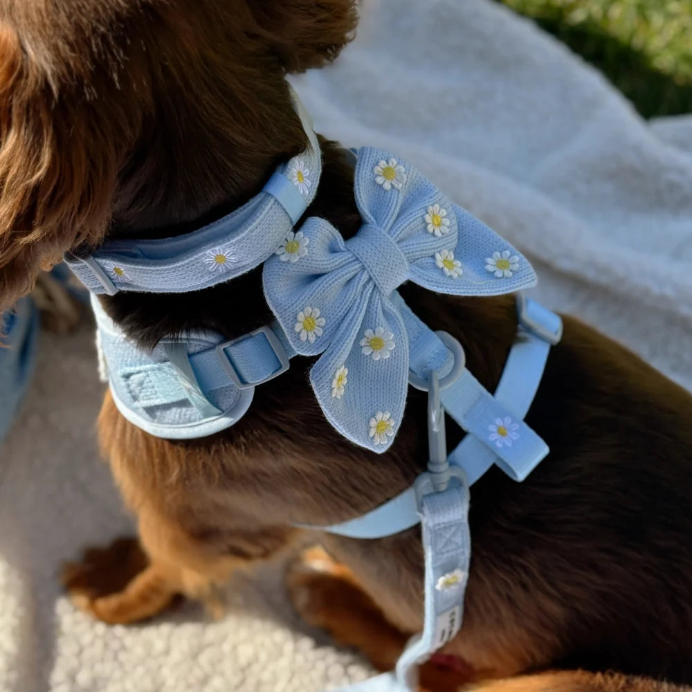 Blue Daisy Dream Sailor Bow