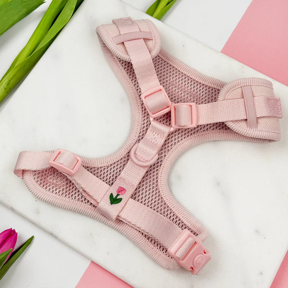 Tulip Tails Harness