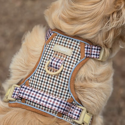 Heritage Explore - XL - Adjustable Dog Harness