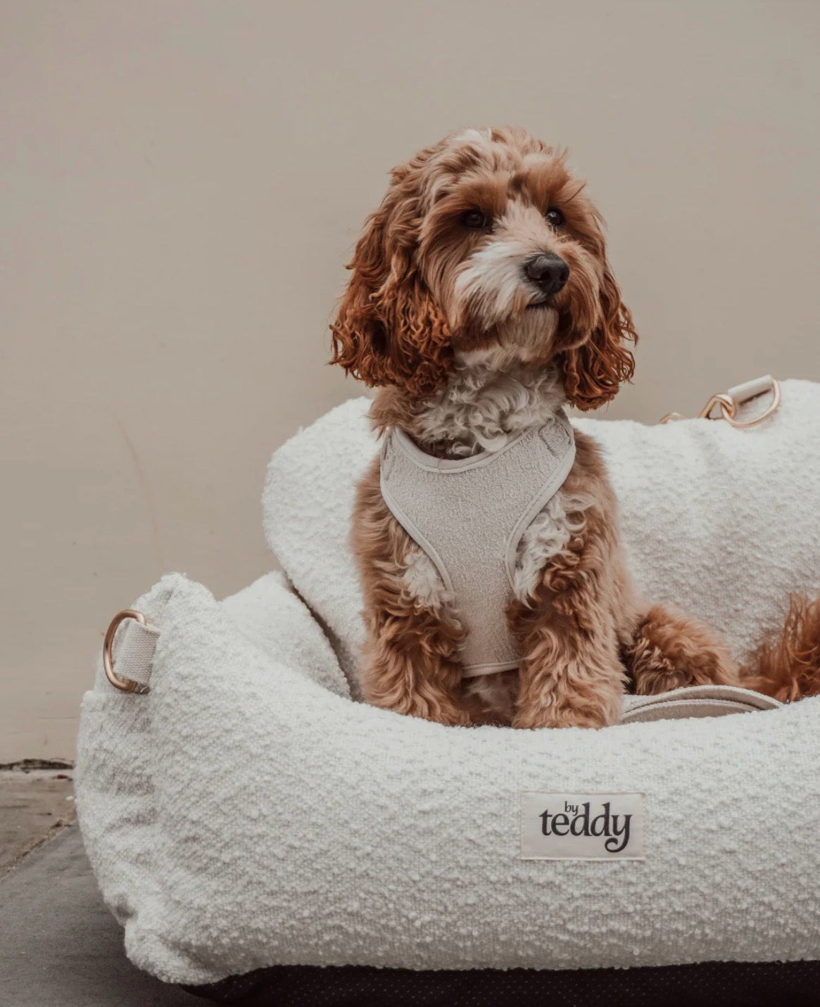 Bouclé Luxury Dog Car Seat (Accepting Pre-Orders)