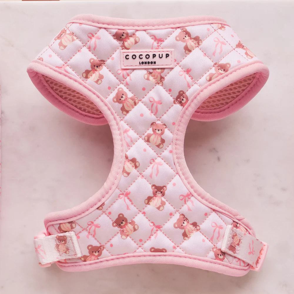 Thea Teddy Harness