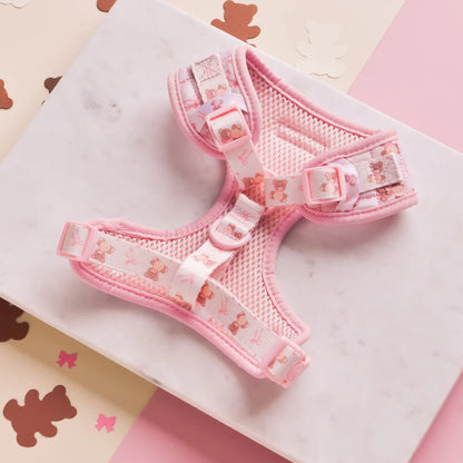 Thea Teddy Harness