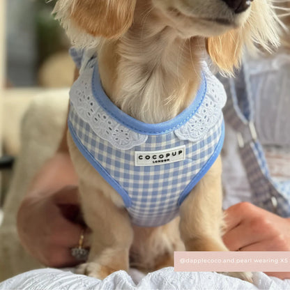 English Blue Harness