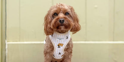 Honey Meadow Harness