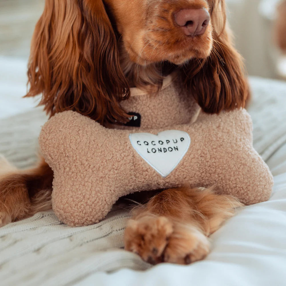 Teddy Bone Dog Toy