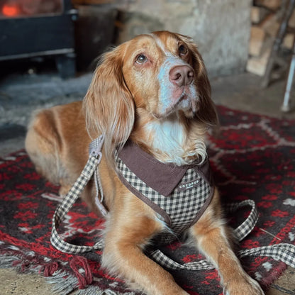 Cotswold Leash
