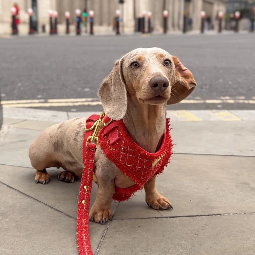 The Duchess Harness - Bridgerton