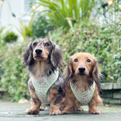 Matcha Tweed Harness - Bridgerton