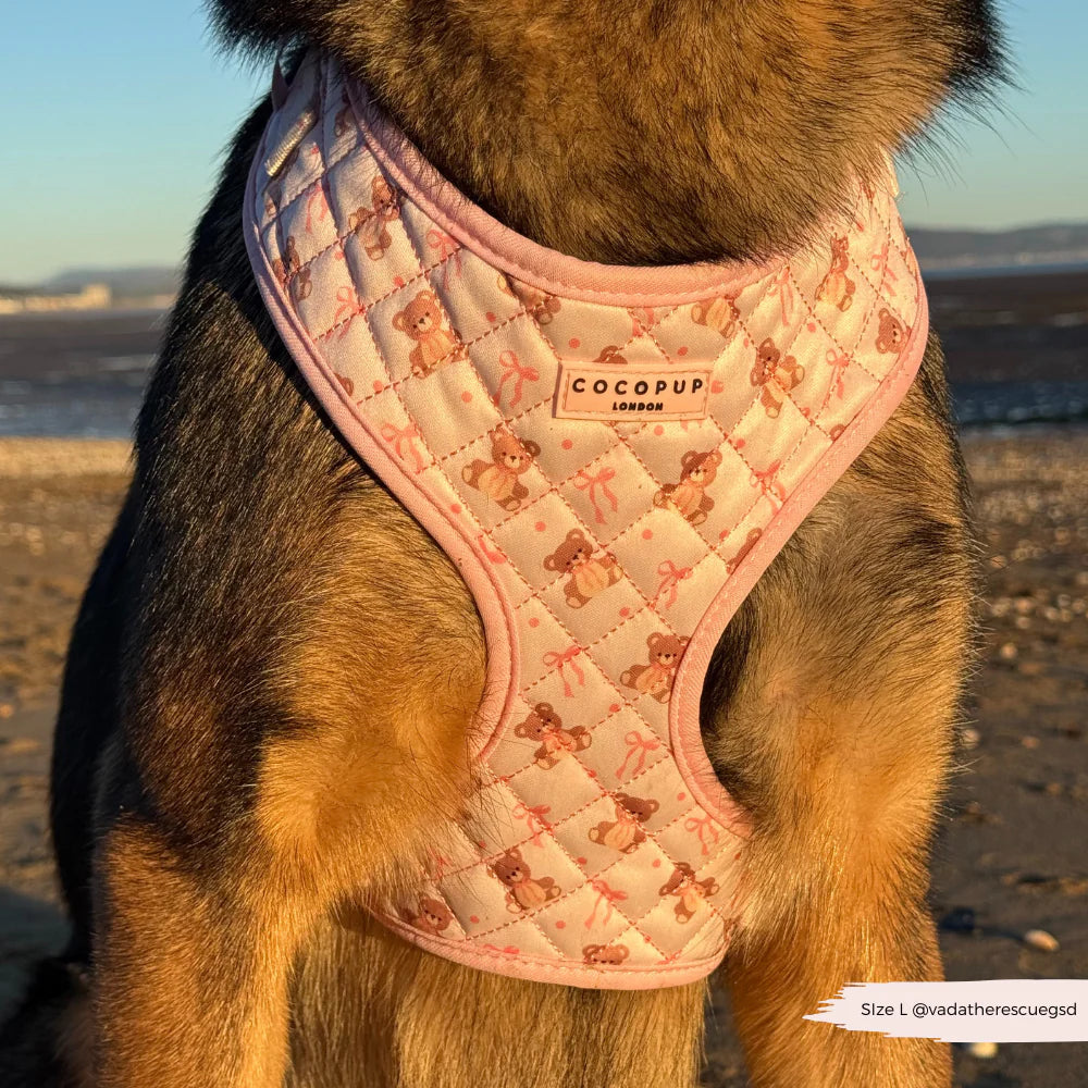 Thea Teddy Harness